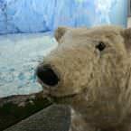 Un oso polar a tamaño natural te recibe en el Ice Bar