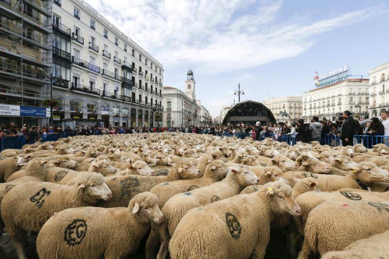 Bienvenidos 209 Bienvenidos - Un buen día en Madrid
