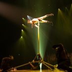 Cirque du soleil presenta TOTEM - Un buen día en Madrid