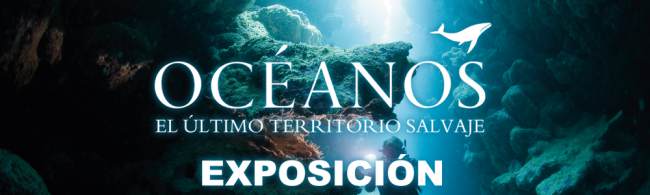 Oceans World Exhibition