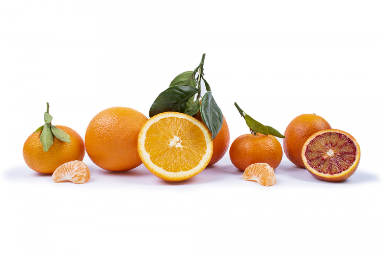 frutemare naranjas