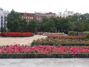 Dalieda San Francisco - Un buen día en Madrid