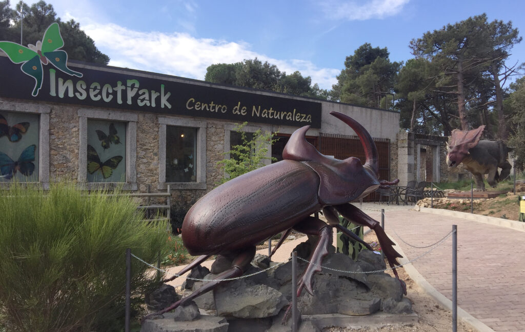 Insect park