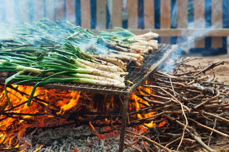 Calçots ideales para mojar en salsa de romesco
