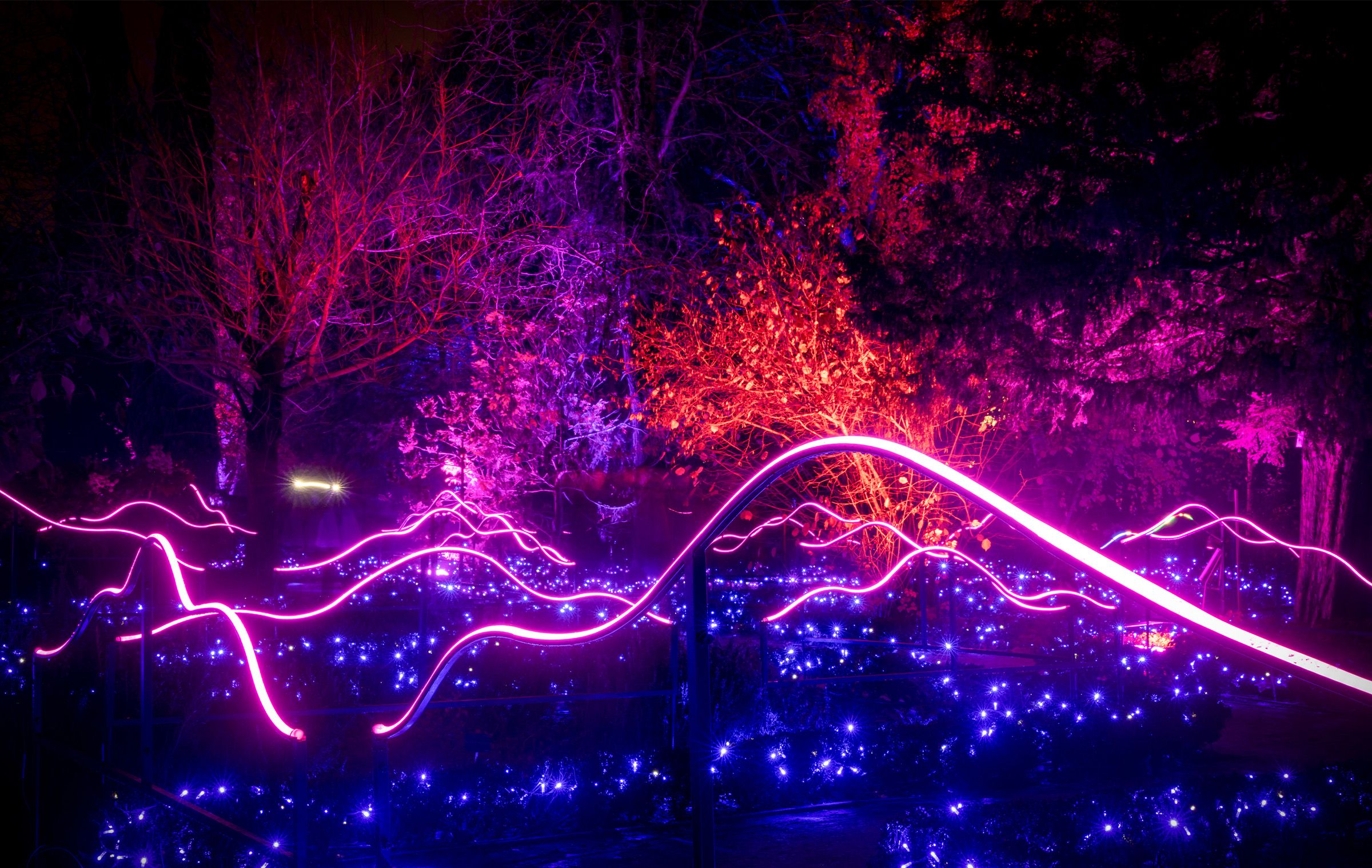 Naturaleza encendida