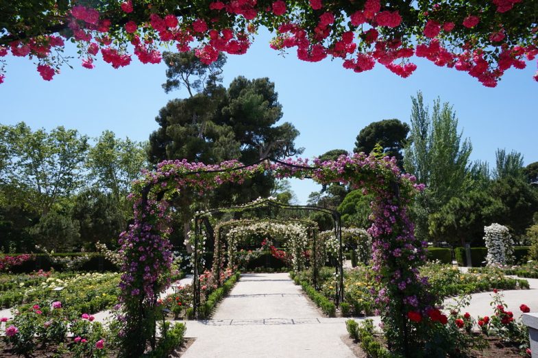 la rosaleda retiro