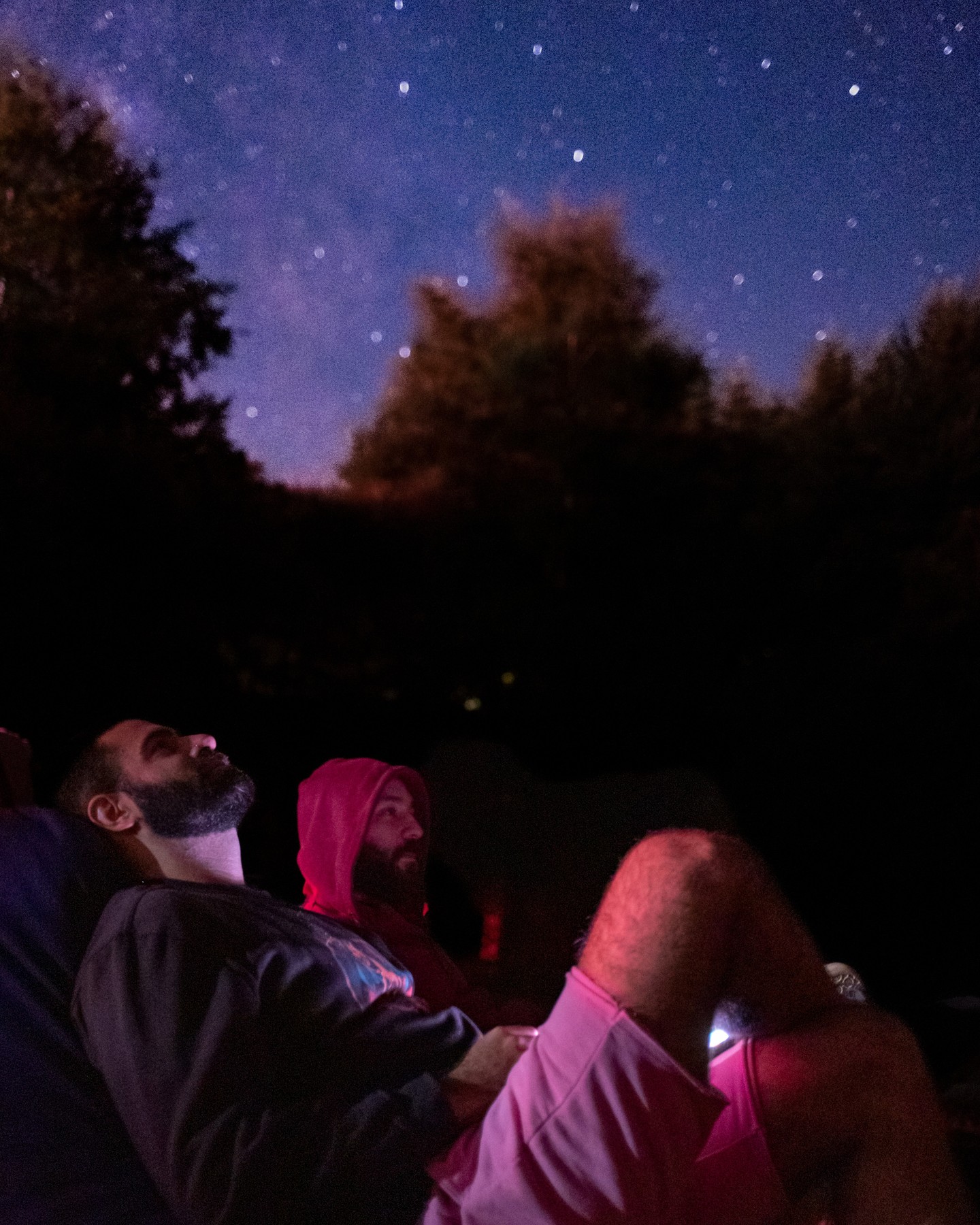 Nocturnario
