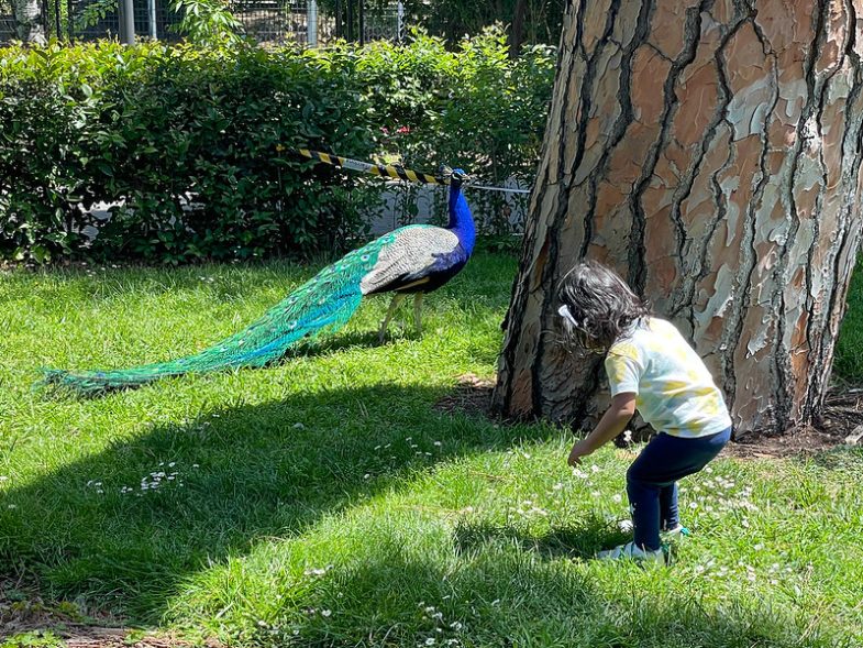 jardines de cecilio rodriguez retiro