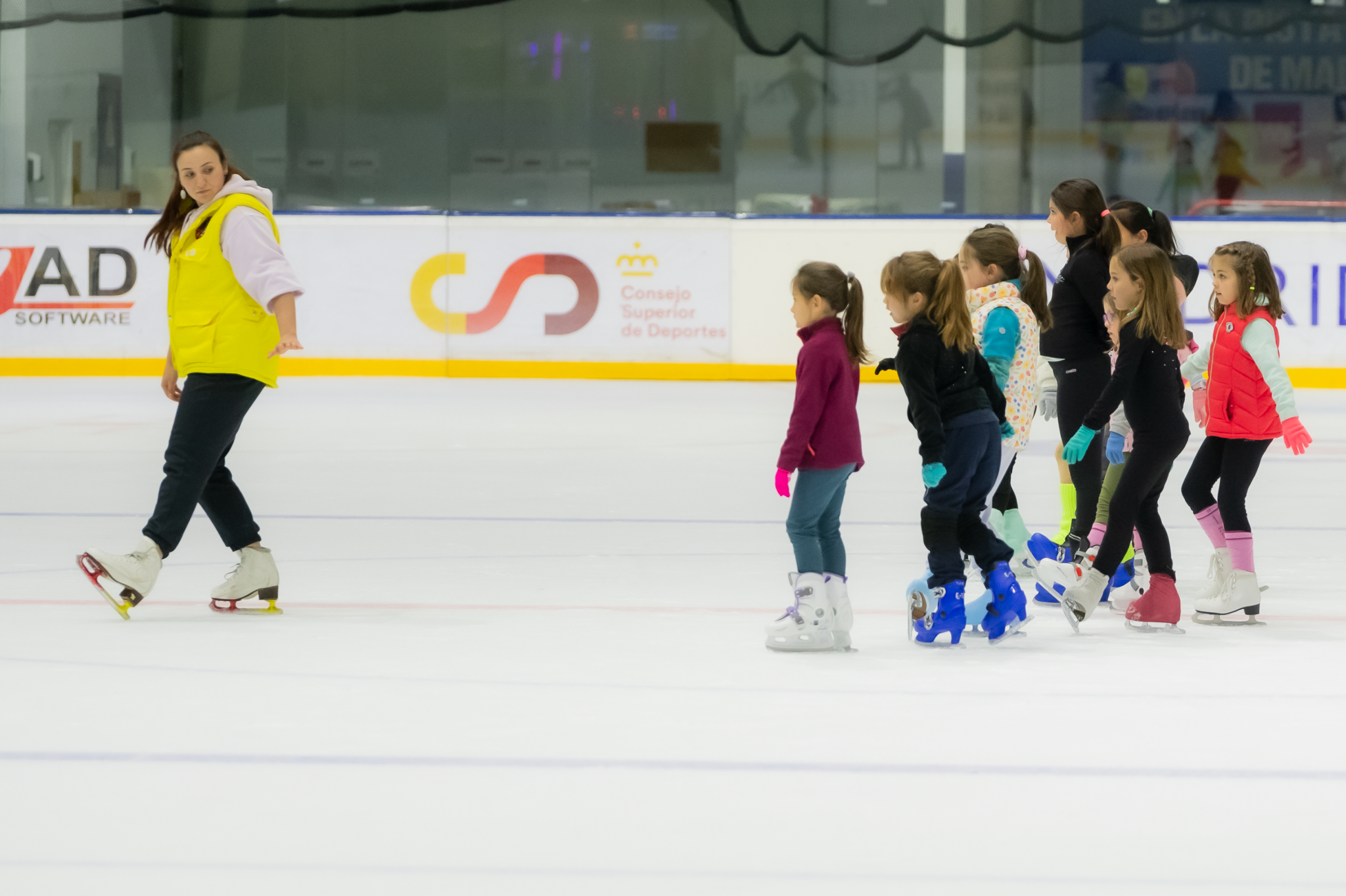 pista de patinaje palacio de hielo
