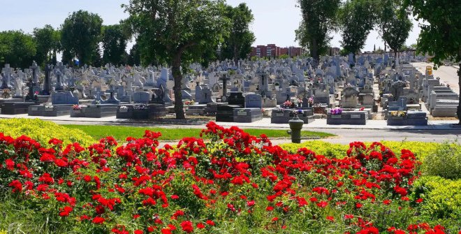 Madrid, entre vivos y muertos - Un buen día en Madrid