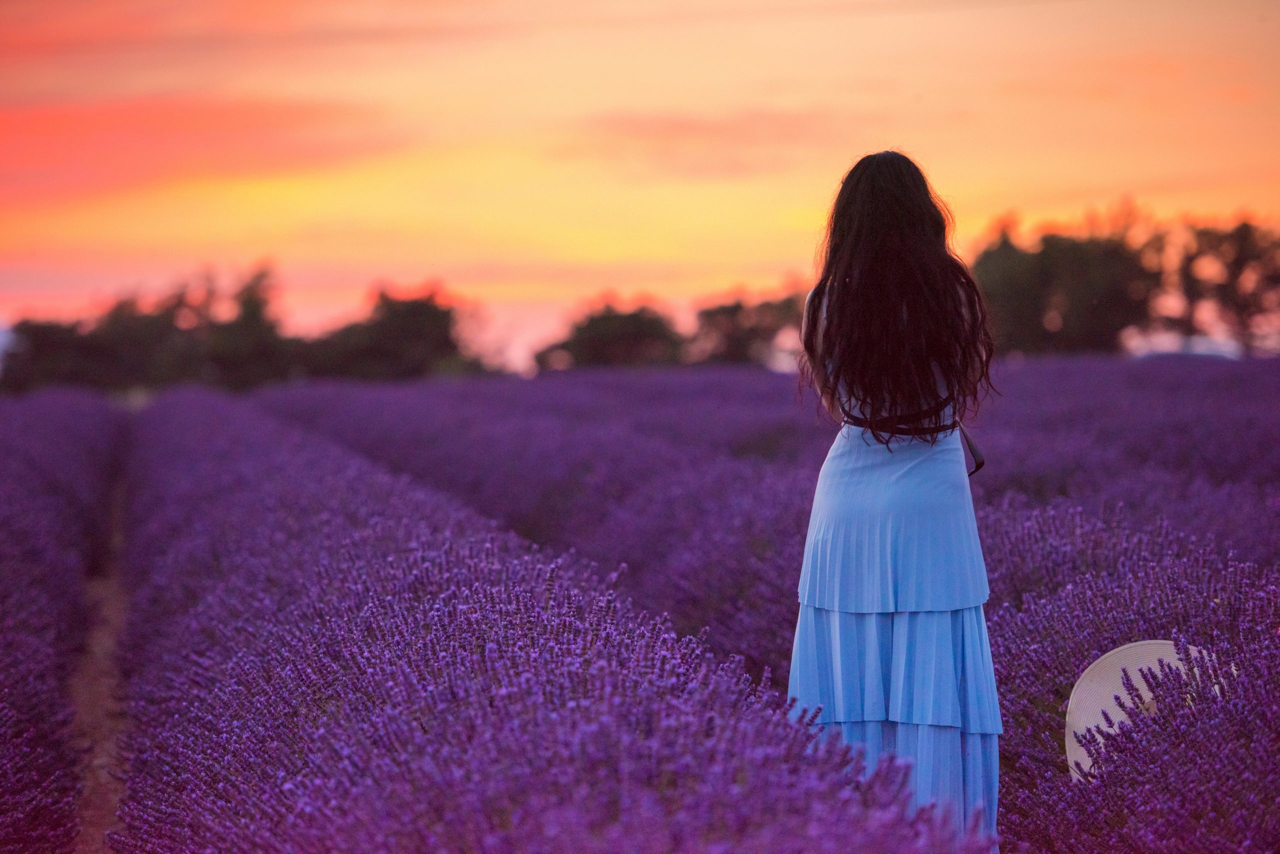 Campos de lavanda de Brihuega 4 Mujer de campos de lavanda