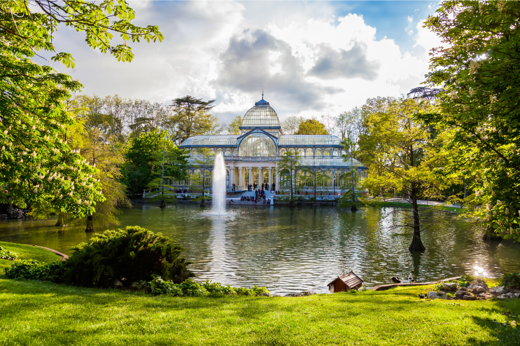 Vacaciones sostenibles en Madrid: cómo visitar la capital reduciendo tu huella de carbono con guppy 2 Vacaciones sostenibles en Madrid: cómo visitar la capital reduciendo tu huella de carbono con guppy - Un buen día en Madrid