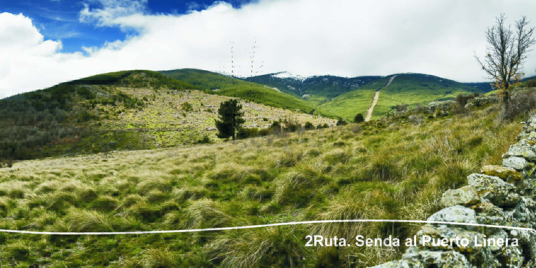 Las 25 mejores rutas de senderismo en Madrid 46 Las 25 mejores rutas de senderismo en Madrid - Un buen día en Madrid