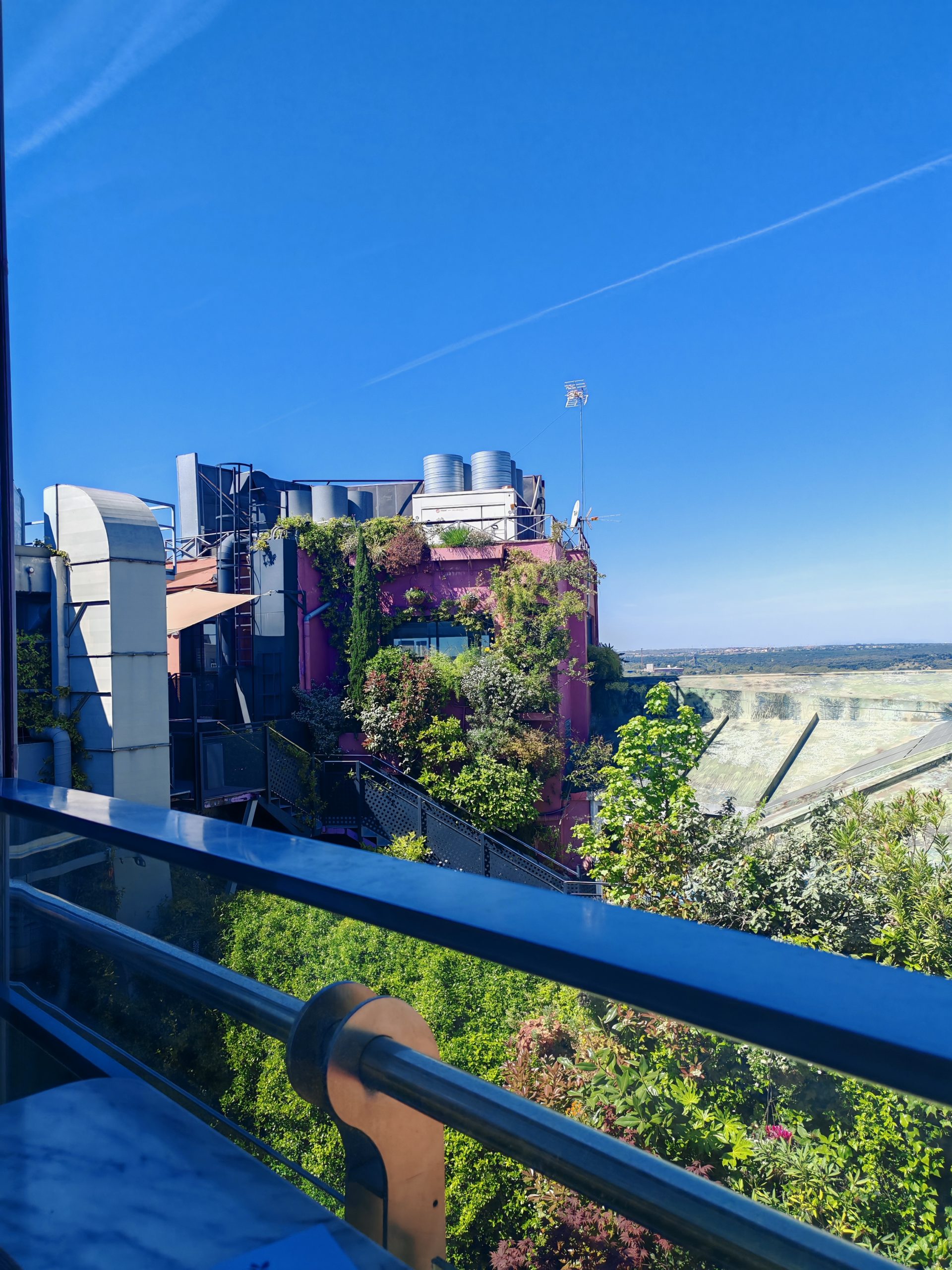 Vistas brunch